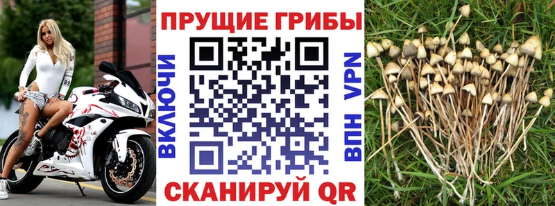 МЕГА ссылка Лукоянов Галлюциногенные грибы мицелий